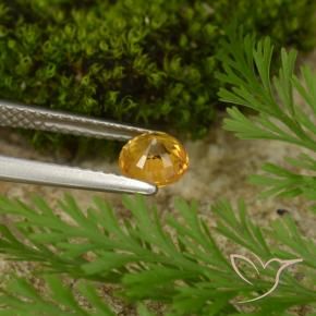 Zaffiro Arancio Scuro-Oro naturale da 0.73 ct, Rotondo, VS