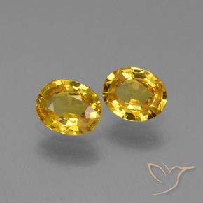 Gemme di Zaffiro Dorato naturale da 1.31 ct, Ovale, VS