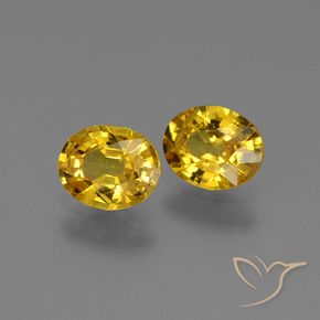 Gemme di Zaffiro Dorato naturale da 1.29 ct, Ovale, VS