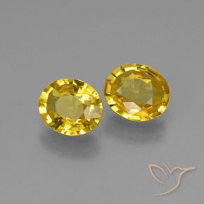 Gemme di Zaffiro Giallo miele chiaro naturale da 1.30 ct, Ovale, VVS-VS