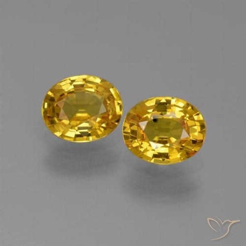 1.52ctw Naturale Giallo intenso Zaffiro, Ovale, VS