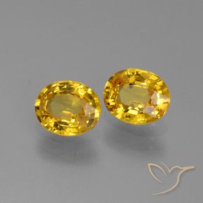 Gemme di Zaffiro Giallo intenso naturale da 1.52 ct, Ovale, VS