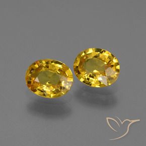 Gemme di Zaffiro Giallo intenso naturale da 1.30 ct, Ovale, VVS-VS