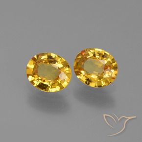 Gemme di Zaffiro Dorato naturale da 1.30 ct, Ovale, VVS