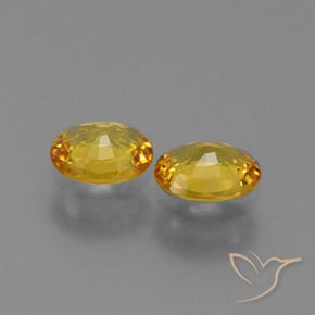 Gemme di Zaffiro Dorato naturale da 1.36 ct, Ovale, VVS-VS