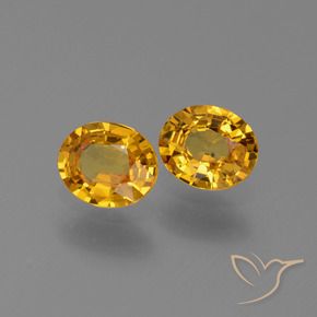 Gemme di Zaffiro Dorato scuro naturale da 1.30 ct, Ovale, VS