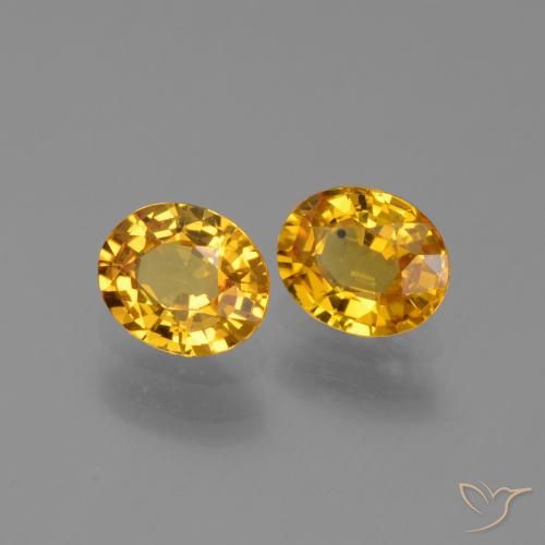 Gemme di Zaffiro Dorato scuro naturale da 1.49 ct, Ovale, VS