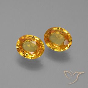Gemme di Zaffiro Dorato scuro naturale da 1.33 ct, Ovale, VS