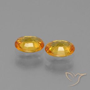 Gemme di Zaffiro Dorato scuro naturale da 1.33 ct, Ovale, VS