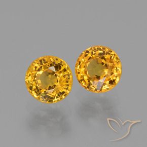 Gemme di Zaffiro Dorato scuro naturale da 1.47 ct, Rotondo, VS