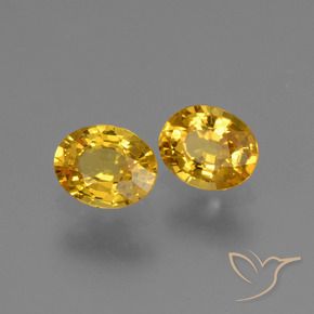 Gemme di Zaffiro Dorato naturale da 1.42 ct, Ovale, VVS-VS