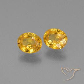 Gemme di Zaffiro Dorato scuro naturale da 1.44 ct, Ovale, VS