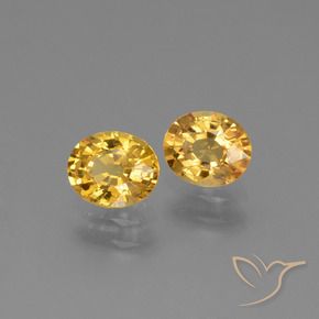 Gemme di Zaffiro Dorato scuro naturale da 1.49 ct, Ovale, VS