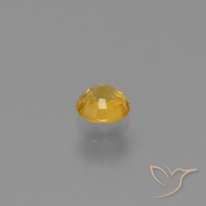 Zaffiro Dorato naturale da 0.64 ct, Rotondo, VVS-VS