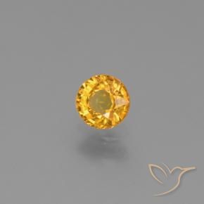 Zaffiro Dorato scuro naturale da 0.62 ct, Rotondo, VVS