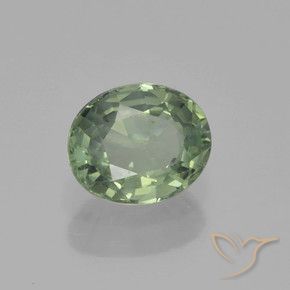 Zaffiro Verde foresta chiaro naturale da 0.88 ct, Ovale, VS