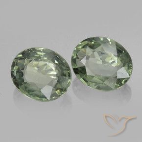 Gemme di Zaffiro Verde terroso naturale da 1.53 ct, Ovale, VVS-VS