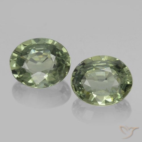 1.47ctw Naturale Verde terroso Zaffiro, Ovale, VVS-VS