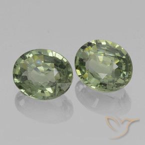 Gemme di Zaffiro Verde terroso naturale da 1.47 ct, Ovale, VVS-VS