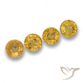 Gemme di Zaffiro Oro profondo naturale da 2.69 ct, Rotondo, VVS-VS