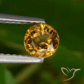 Zaffiro Dorato scuro naturale da 0.68 ct, Rotondo, VVS-VS