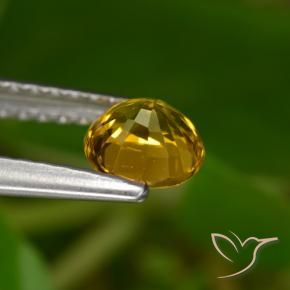 Zaffiro Dorato scuro naturale da 0.68 ct, Rotondo, VVS-VS