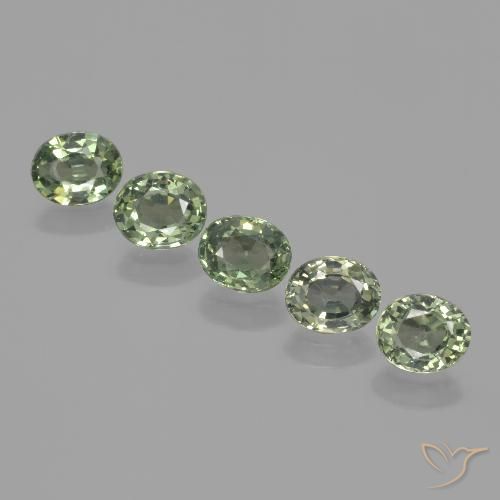 3.62ctw Naturale Verde terroso Zaffiro, Ovale, VVS-VS