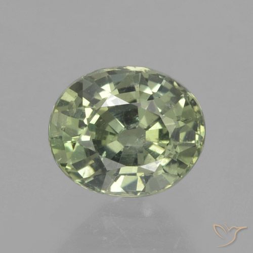 0.91ct Naturale Medium Light Green Zaffiro, Ovale, VS