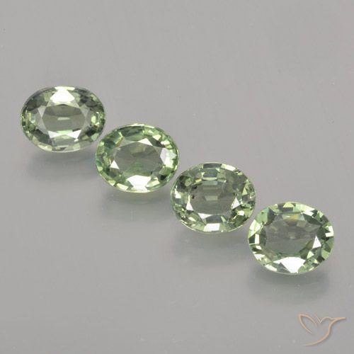 3.37ctw Naturale Verde terroso Zaffiro, Ovale, VVS-VS