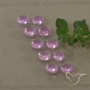 Gemme di Zaffiro Viola-Rosa naturale da 1.53 ct, Rotondo, Trasparente