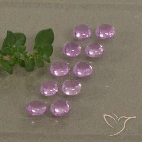Gemme di Zaffiro Viola-Rosa naturale da 1.53 ct, Rotondo, Trasparente