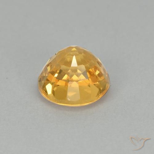 Zaffiro Dorato scuro naturale da 1.05 ct, Rotondo, VVS