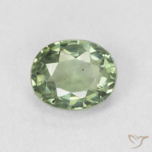 0.66ct Naturale Verde chiaro Zaffiro, Ovale, VVS-VS