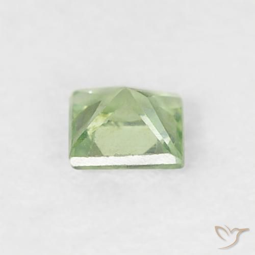 Zaffiro Verde molto chiaro naturale da 0.18 ct, Quadrato, VS
