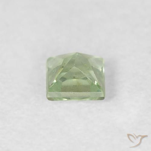 Zaffiro Verde molto chiaro naturale da 0.19 ct, Quadrato, VVS-VS