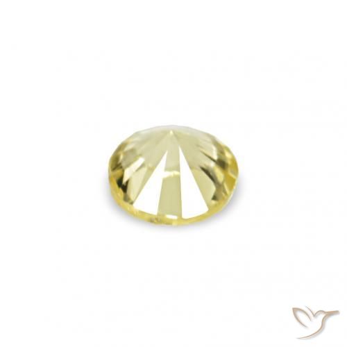 Gemme di Zaffiro Medium Light-Yellow naturale da 1.53 ct, Rotondo, VVS-VS