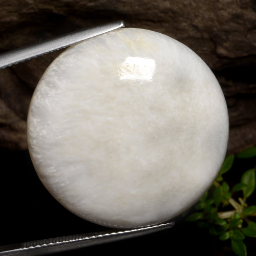 Scolecite naturale bianco da 28,59 ct, taglio rotondo, opaco