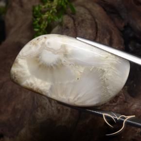Scolecite naturale bianco da 34,11 ct, forma fantasia, opaco