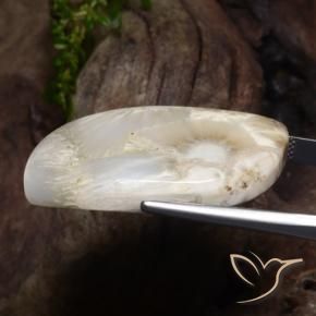 Scolecite naturale bianco da 34,11 ct, forma fantasia, opaco