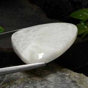 Scolecite naturale bianco da 20,10 ct, forma fantasia, opaco