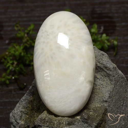 48.61ct Naturale Bianco chiaro Scolecite, Ovale, Opaco
