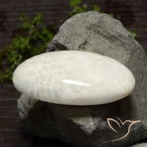 Scolecite Bianco chiaro naturale da 48.61 ct, Ovale, Opaco