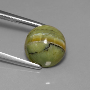 Serpentina naturale verde da 3,99 ct, taglio rotondo, opaco
