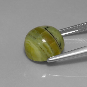 Serpentina naturale verde da 3,99 ct, taglio rotondo, opaco