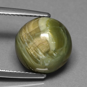 Serpentina naturale verde da 5,69 ct, taglio rotondo, opaco
