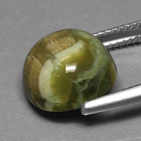 Serpentina naturale verde da 5,69 ct, taglio rotondo, opaco