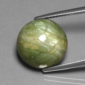 Serpentina naturale verde da 11,85 ct, taglio rotondo, opaco