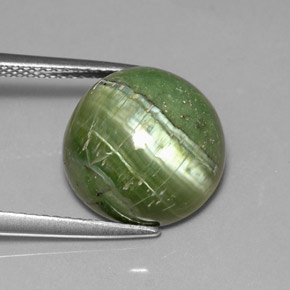 Serpentina naturale verde da 6,40 ct, taglio rotondo, opaco