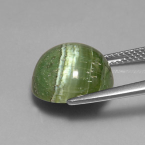 Serpentina naturale verde da 6,40 ct, taglio rotondo, opaco