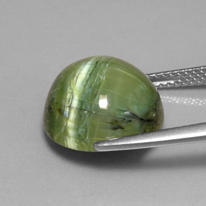 Serpentina naturale verde da 7,64 ct, taglio rotondo, opaco